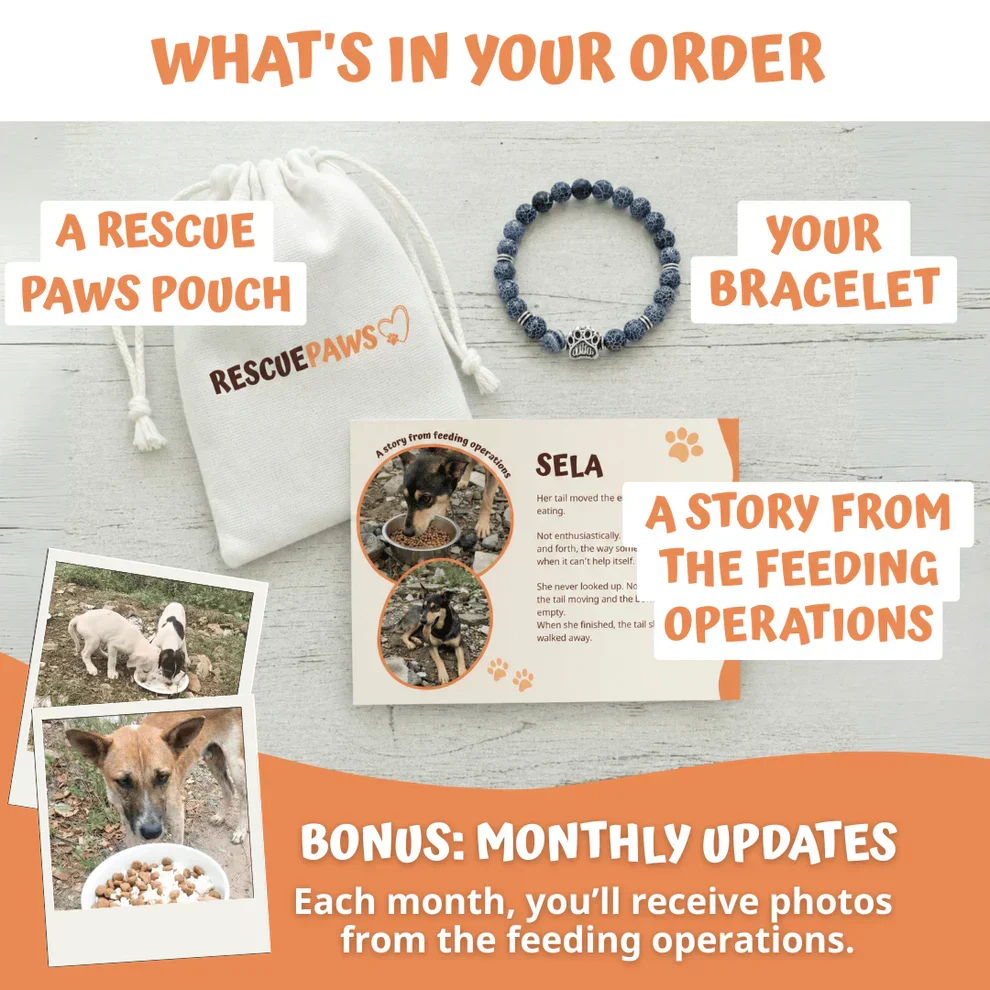 Buyumi bracelet order contents