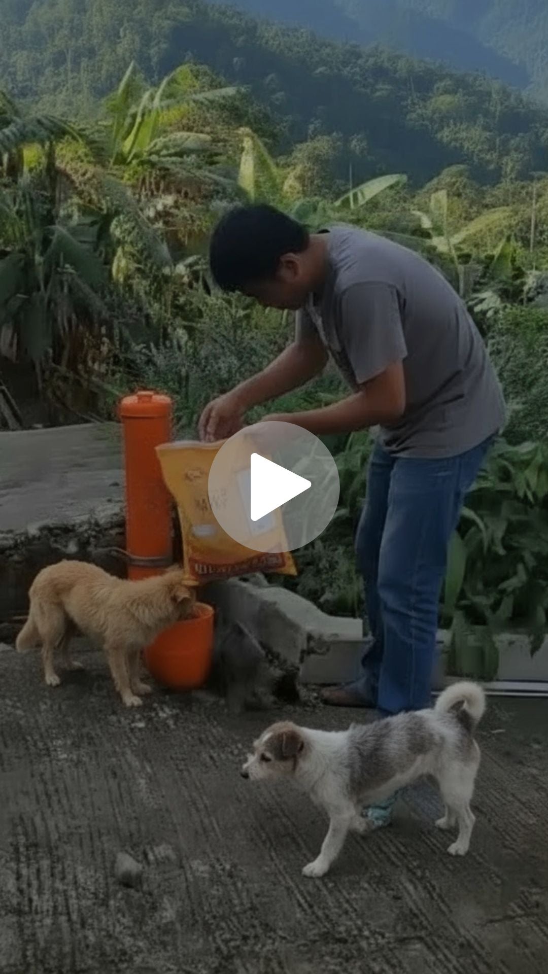 Feeding station in a mountain community