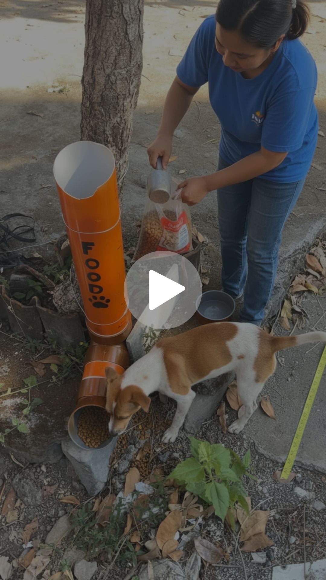 Volunteer adding food to a dog feeding station