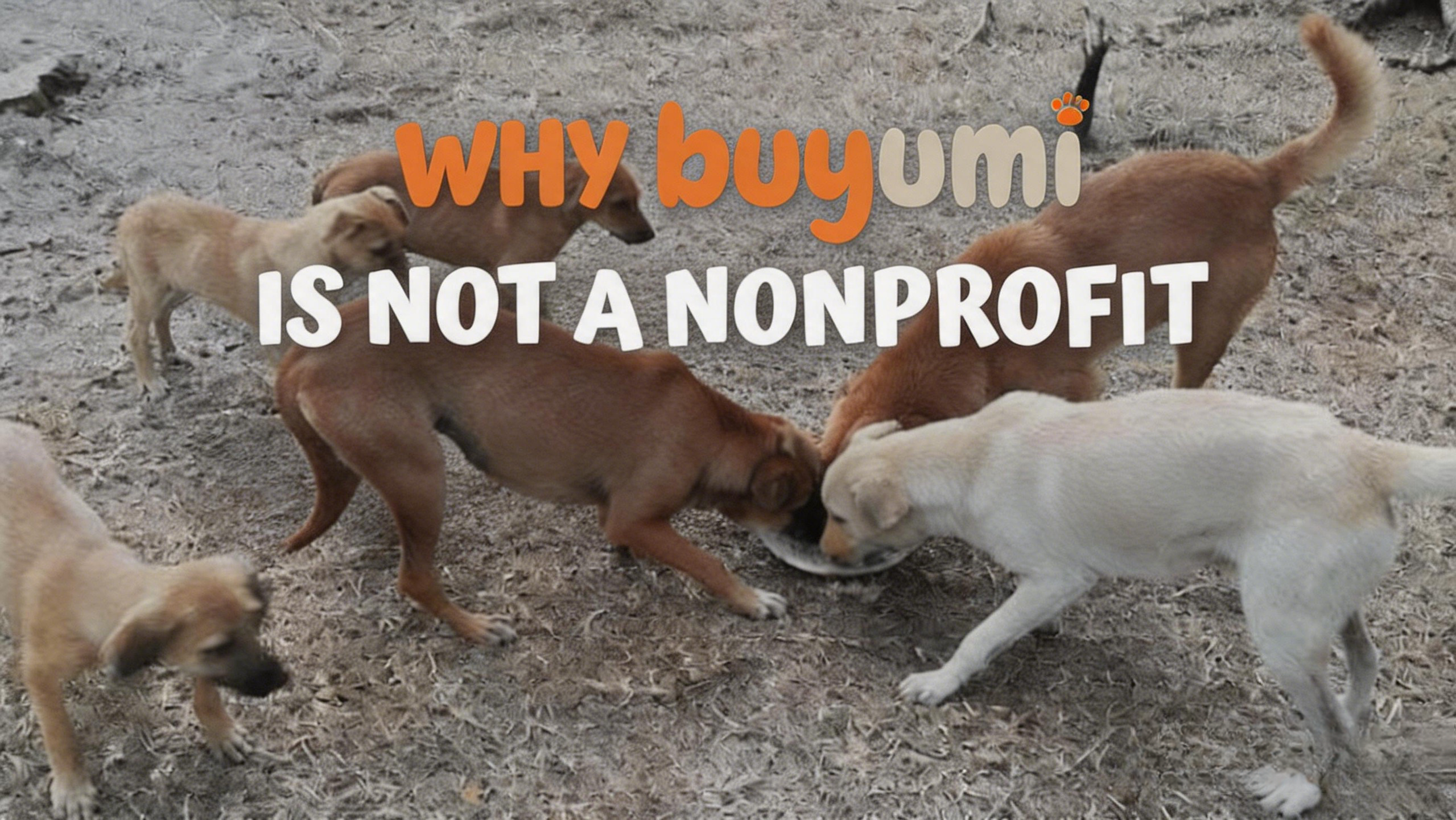 Why Buyumi Is Not a Nonprofit