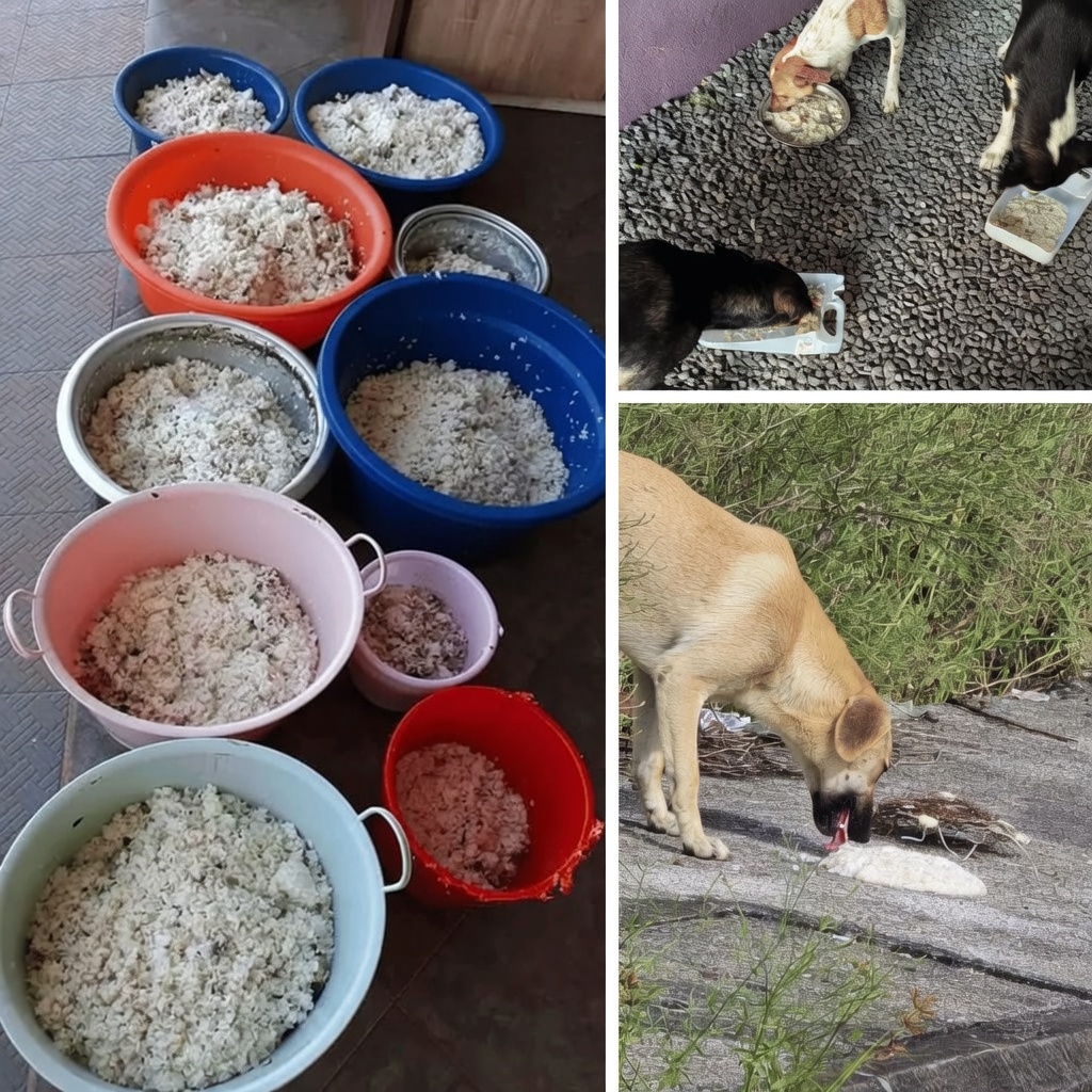 Dog food being prepared for Buyumi feeding operation