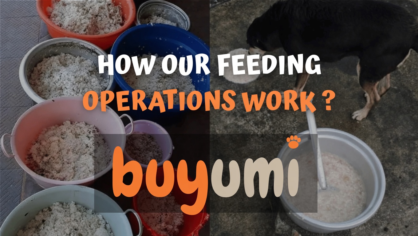 How Our Feeding Operations Work