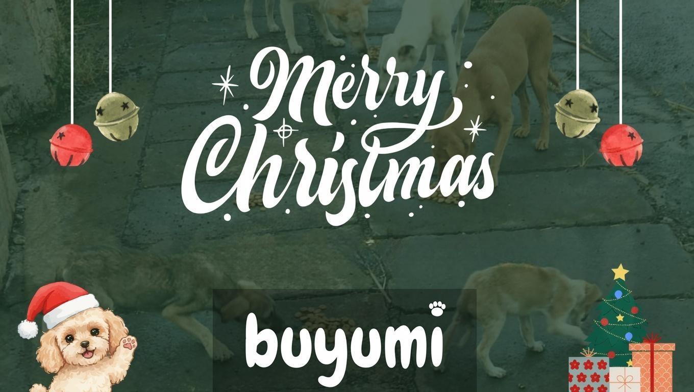 Merry Christmas from the Buyumi Team
