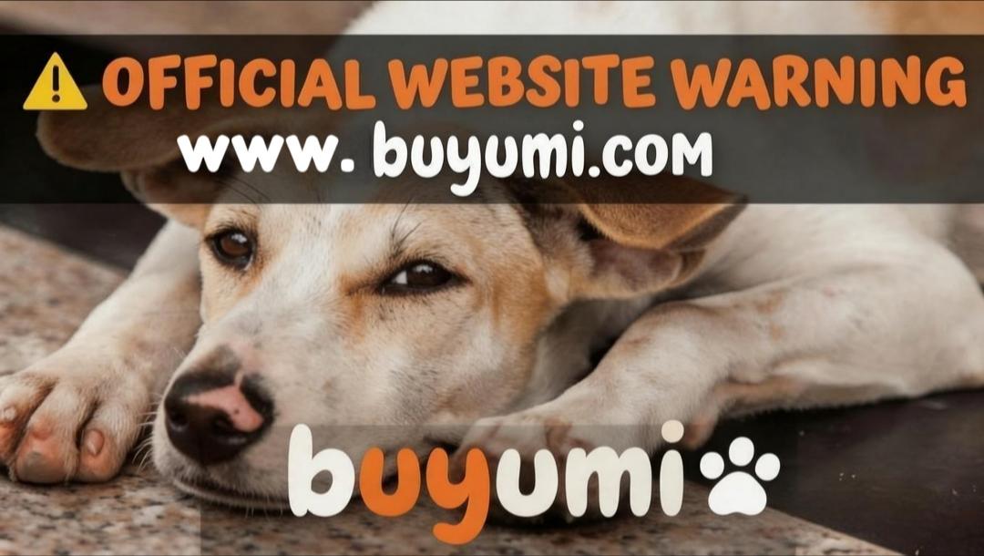 How to Spot Fake Buyumi Websites
