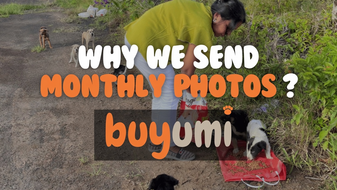 Why We Send Monthly Photos